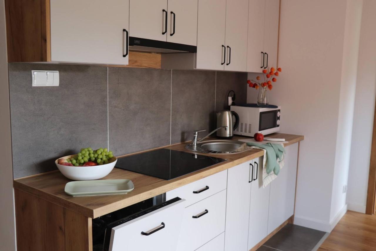 Apartamenty Pardalowka 50 زاكوباني المظهر الخارجي الصورة