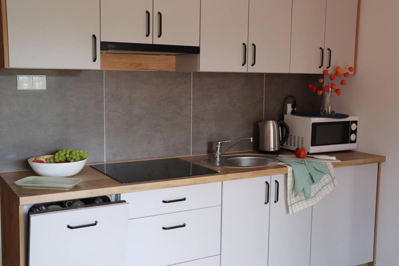 Apartamenty Pardalowka 50 زاكوباني المظهر الخارجي الصورة