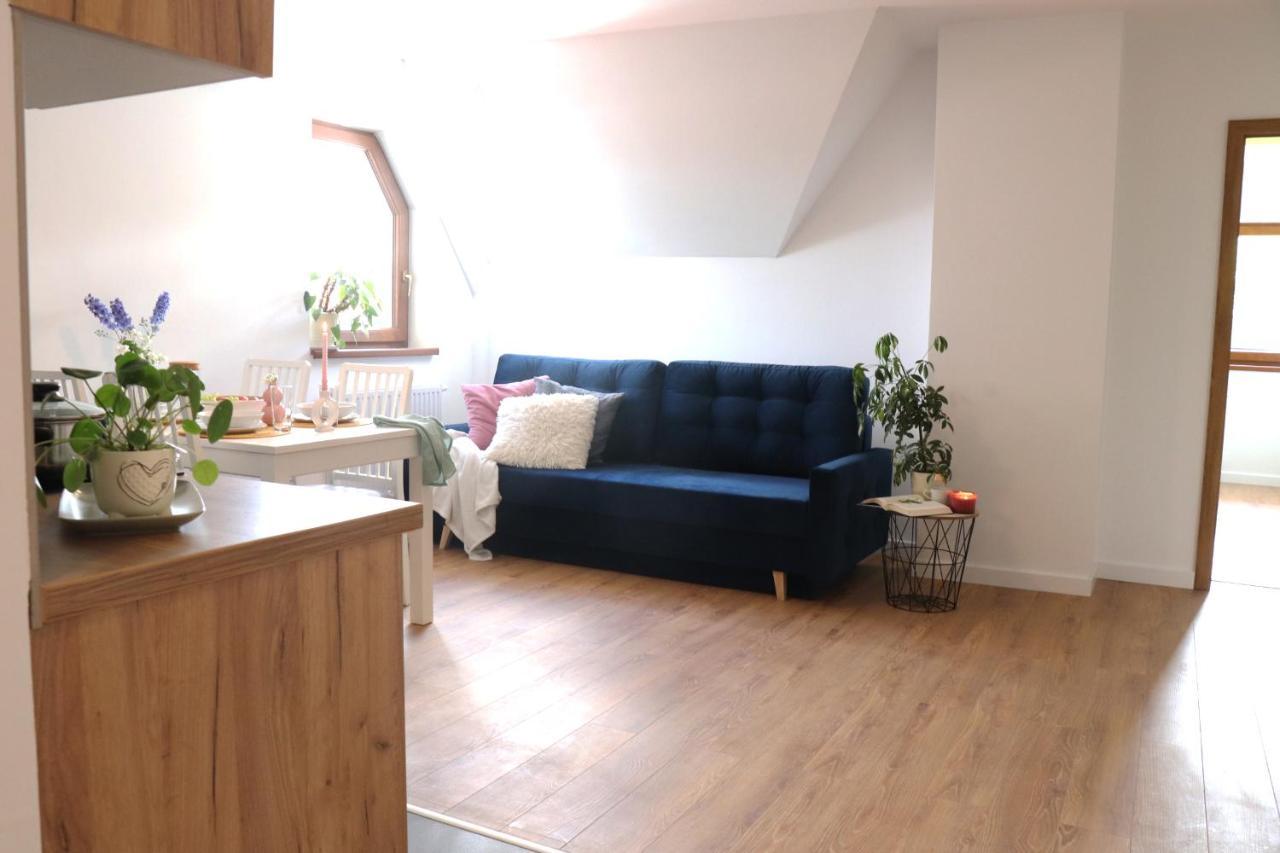 Apartamenty Pardalowka 50 زاكوباني المظهر الخارجي الصورة