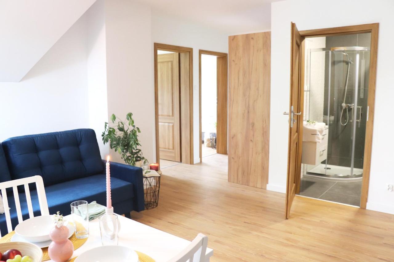 Apartamenty Pardalowka 50 زاكوباني المظهر الخارجي الصورة