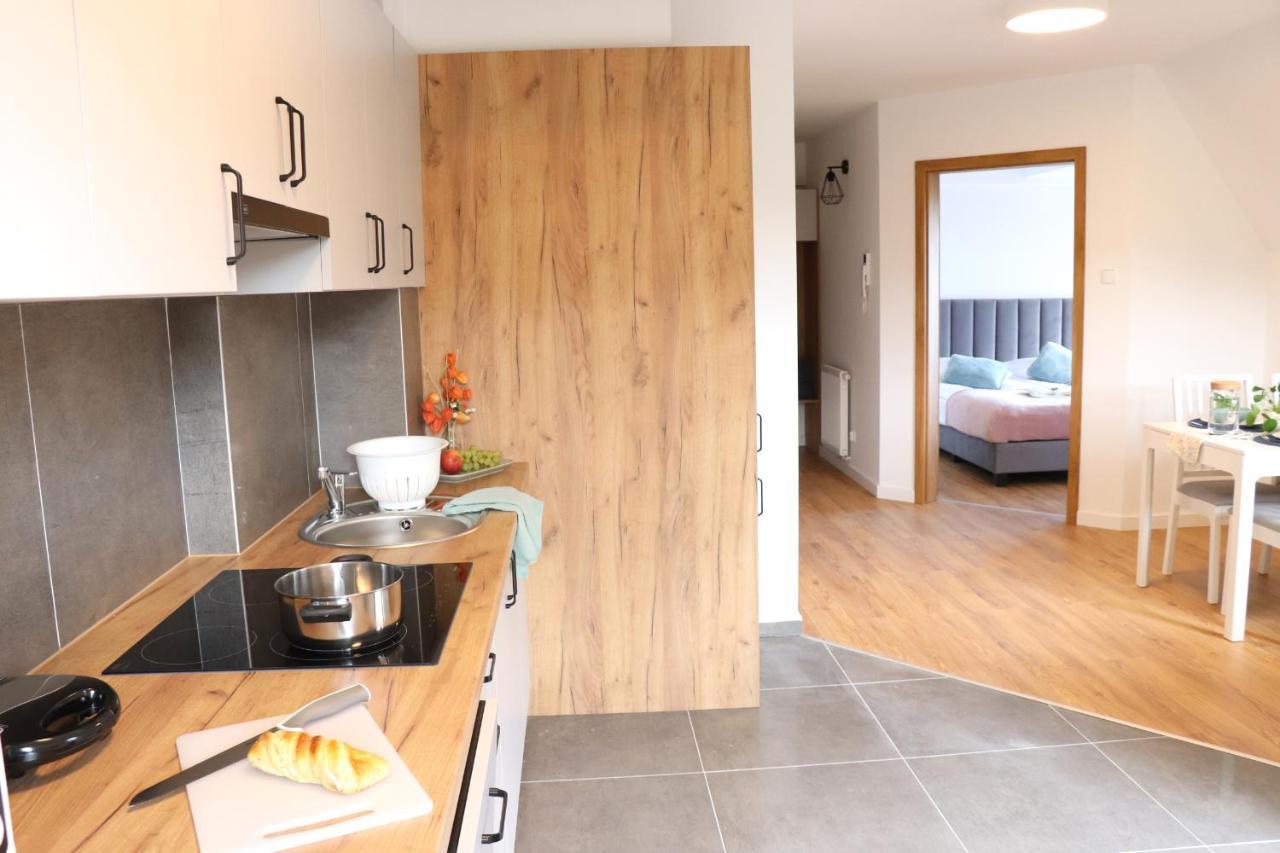 Apartamenty Pardalowka 50 زاكوباني المظهر الخارجي الصورة