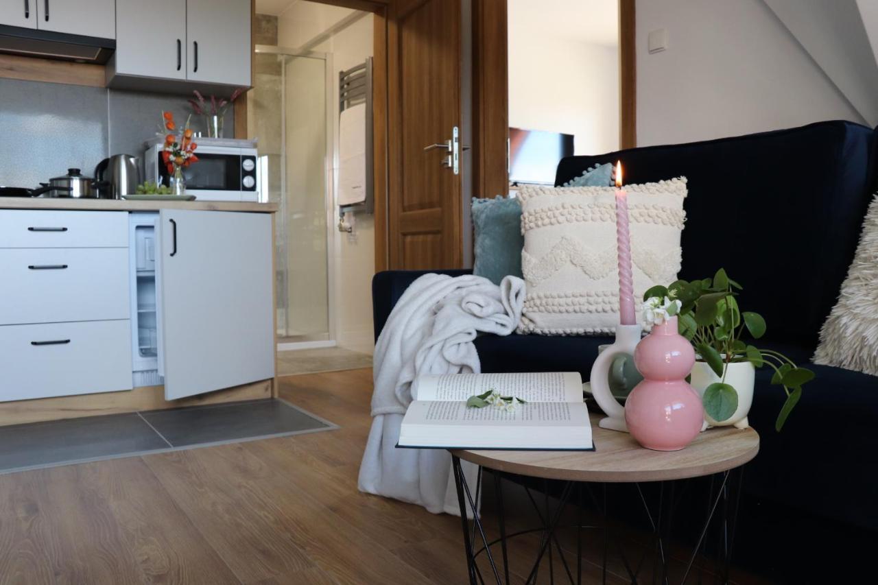 Apartamenty Pardalowka 50 زاكوباني المظهر الخارجي الصورة